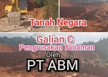 PT ABM: Lakukan Galian C & Pengrusakan Tanaman di Tanah Milik Negara