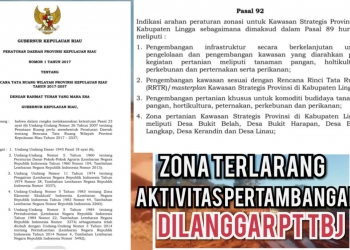 Tahun 2020: 5 Kali Ekspor Bauksit ke China, Gunakan Izin Produk Gagal di Zona Larangan Tambang Oleh PT TBJ