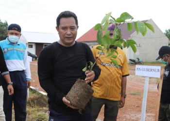 Satu Miliar Pohon Kelapa Untuk Ketahanan Pangan dan Pengangguran Kepri