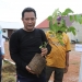 Satu Miliar Pohon Kelapa Untuk Ketahanan Pangan dan Pengangguran Kepri
