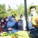 Support Petani Lokal, Walikota Rahma ajak Berbelanja Produk Pertanian Tanjungpinang