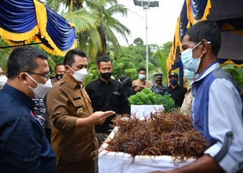 Menyelesaikan Misinya, Ansar: Prioritas Ekonomi Maritim, Alhamdulillah Panen Rumput Laut Dongkrat Perekonomian Warga