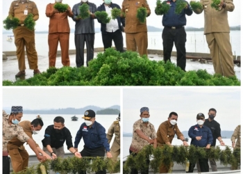 Arif Fadilah: Masyarakat Pulau Jaga Sekitar 30 KK Memiliki Komoditas Utama Rumput Laut
