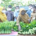 Walikota Tanjungpinang Serahkan Bantuan Sarana Pertanian dan Bibit Tanaman di Tanjung Moco