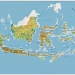 PBB Apresiasi Penanganan Covid-19 di Indonesia