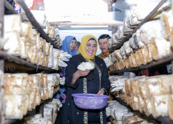 Buka Sekolah Lapang Jamur, Wako Rahma Sebut Budidaya Jamur Merupakan Peluang Usaha Menjanjikan