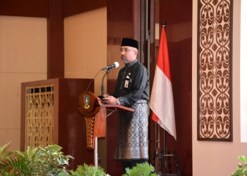 Resmikan Aplikasi SI DESI, Luki Zaiman: Akses Cepat Pertukaran Informasi Pelayanan Pemerintah Makin Termodernisasi
