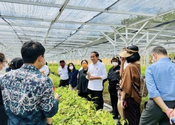 Persemaian Mentawir Bentuk Keseriusan Pemerintah Menata Lingkungan