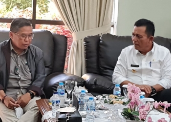 Dampingi Peninjauan Lahan Bandara di Karimun, Gubernur Ansar Sambut Kedatangan Wamen LHK