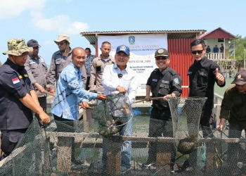 Taba Iskandar Wakili Gubernur Ansar Panen Ikan Kerapu Cantang di Pulau Akar