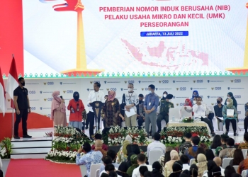 Dongkrak Omzet, Presiden Dorong Pelaku UMKM Manfaatkan Platform Daring