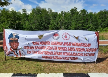 Terkait Viralnya Kadis Perkim, Adiya JPKP Sebut Gubernur Ansar Tidak Mampu Usut Kasus Ini