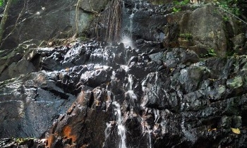 Jadi Ikon Wisata, Dispar Kepri akan Benahi Air Terjun Gunung Bintan