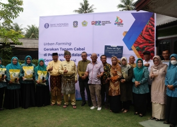 Pengelolaan Pekarangan Rumah, Gubernur Ansar Berikan Bibit Cabe ke Kelompok Dasa Wisma Karimun
