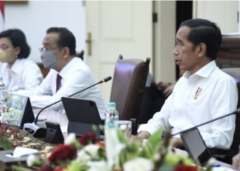 Presiden Sampaikan Sejumlah Arahan Terkait Kasus Obat Penyebab Gagal Ginjal