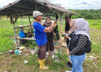 Kembangkan Sorgum, Tim IPB Lakukan Pendampingan Program OVOC di Bintan