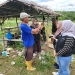 Kembangkan Sorgum, Tim IPB Lakukan Pendampingan Program OVOC di Bintan