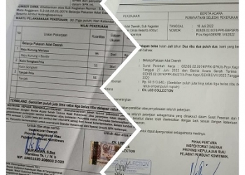 Jadi Percontohan, Belanja Pakaian Adat Daerah di Inspektorat Kepri 2022 Terindikasi Mark Up