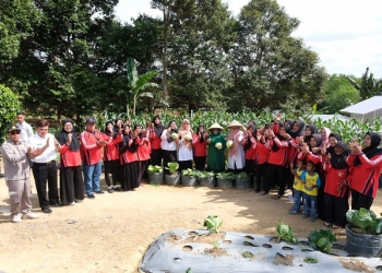 Panen Bersama, Kelompok Wanita Tani Perkasa Binaan Pemko Tanjungpinang Semakin Berkembang
