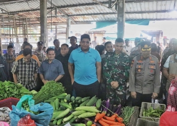 Sidak Bahan Pokok di Pasar Baru Tanjung Uban, Bupati Roby: Jaga Stabilitas Harga