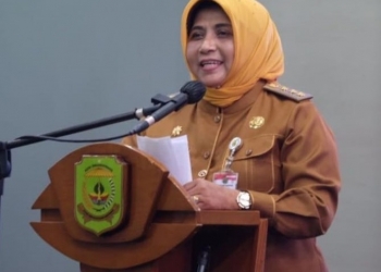 Peran Pemko Tanjungpinang dalam Strategi Pengembangan Kegiatan Ekonomi Produksi Lokal dan Dunia Usaha