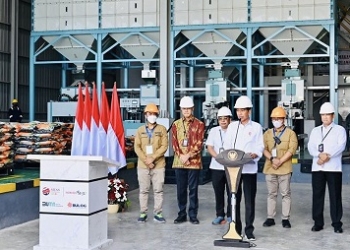 Presiden Minta Bulog Serap Gabah Petani Sebanyak-banyaknya