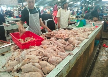 Pasar Bincen Batu 9: Penjualan Daging Ayam Meningkat 2 Kali Lipat di Hari Idul Adha
