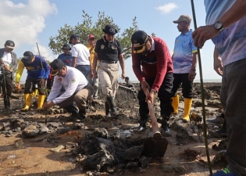 Persiapan Menjadi Tuan Rumah GTRA Summit 2023, Pemkab Karimun Gelar Aksi Penanaman Mangrove
