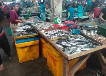 Pasokan Ikan Terus Menurun, Pedagang Pasar Bincen: Dipastikan Harganya Tetap Stabil