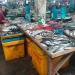 Pasokan Ikan Terus Menurun, Pedagang Pasar Bincen: Dipastikan Harganya Tetap Stabil