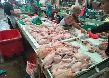 Stok Menipis, Harga Daging Ayam di Pasar Bincen Mengalami Kenaikan Rp39 Ribu per Kilogram