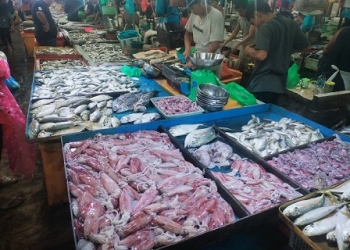 Kembali Stok Ikan di Pasar Bincen Tanjungpinang Berangsur Membaik