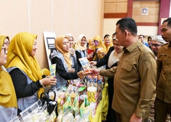 Ansar Ahmad Dukung AEC Community untuk Perkuat Peran dan Kemampuan UMKM