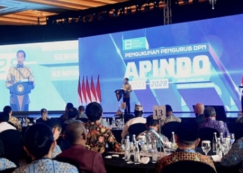Joko Widodo Apresiasi Peran Apindo Tangani Stunting