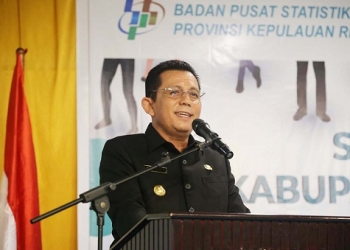 Ansa Ahmad Tekankan Data BPS Jadi Rujukan Pemerintah Dalam Mengambil Kebijakan