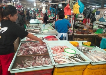 Dampak Gelombang Laut, Harga Ikan di Pasar Bincen Tambah Meroket