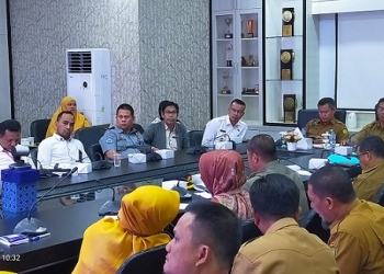 Perkuat Pencegahan Kekerasan anak, DP3APM Gelar Pertemuan Koordinasi Lintas Sektor