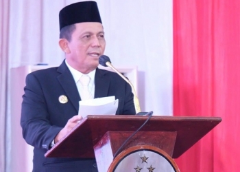 Memasuki 21 Tahun Provinsi Kepri, Ansar Sebut Ekonomi Menuju ke Fase Peningkatan
