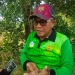 Gaji Sopir Truk Sampah Capai Rp2,1 Juta, Riono: Kenaikan Insentif 400 Petugas Inisiatif Pj Wako