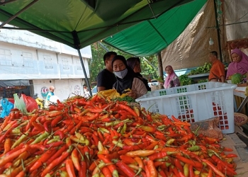 Harga Cabai Setan Menjelit di Pasar Bincen, Tembus Rp62 Ribu per Kg