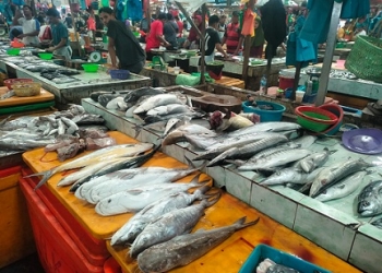 Hasil Laut Melimpah, Harga Ikan Segar Turun di Pasar Bincen