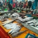 Hasil Laut Melimpah, Harga Ikan Segar Turun di Pasar Bincen