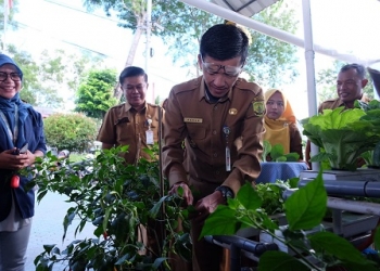 Dorong Pemanfaatan Sorgum, Hasan Sebut Alternatif Pangan Berkualitas