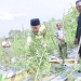 Upaya Menjaga Ketahanan Pangan, Hasan Dorong Produktivitas Hasil Pertanian Tanjungpinang