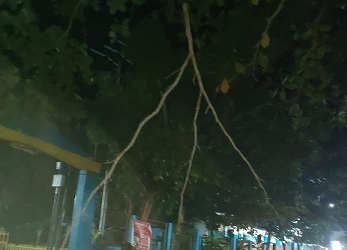 Ranting Pohon Bergelantung di Badan Jalan Membahayakan Pengendara, Warga Minta Petugas Lebih Teliti
