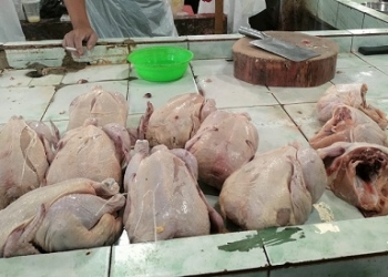 Stok dan Pasokan Daging Ayam Menipis, Pasar Bincen Harganya Naik, Tempat Lain Masih Nomal
