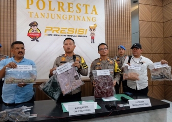 Terhasut Tontonan Video Dewasa, Seorang Remaja Rudapaksa Siswi Kelas 6 SD