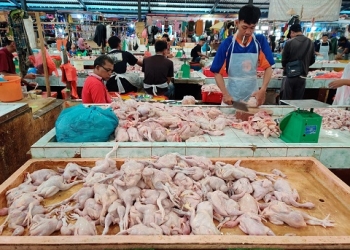 Masuk H-1 Natal, Harga Daging Ayam di Pasaran Stabil Rp38 Ribu per Kilogram