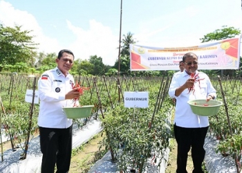 Sediakan 50 Ha Lahan dan Dorong Gerakan Menanam Cabai, Ansar Apresiasi Keberhasilan Pertanian