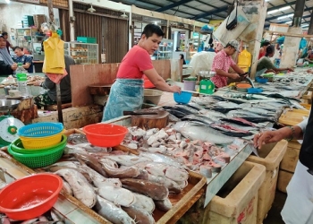 Faktor Cuaca Harga Ikan Laut Naik, Daging Ayam Masih Stabil